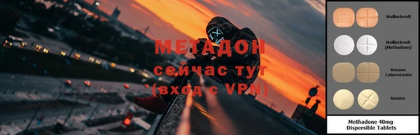 стафф Алзамай