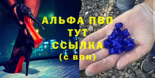 стафф Алзамай