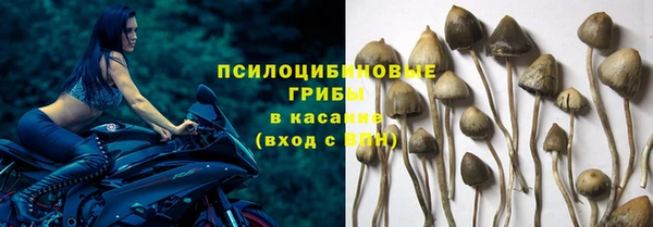 соль ск Алексин